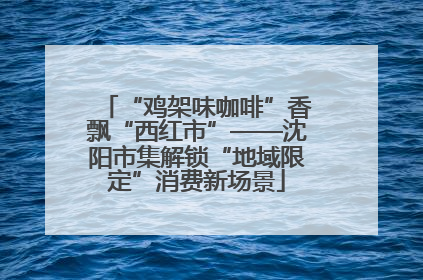 “鸡架味咖啡”香飘“西红市”——沈阳市集解锁“地域限定”消费新场景