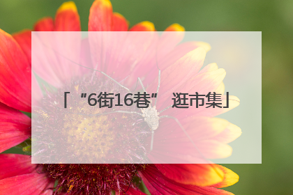 “6街16巷” 逛市集
