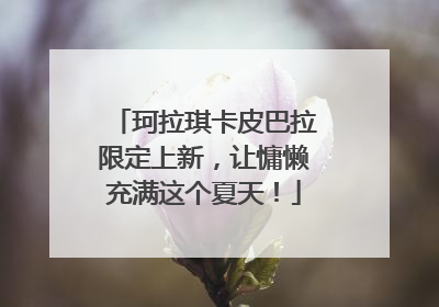 珂拉琪卡皮巴拉限定上新，让慵懒充满这个夏天！