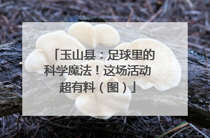 玉山县：足球里的科学魔法！这场活动超有料（图）