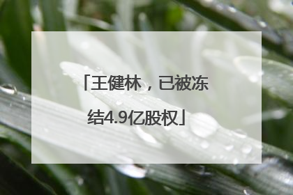 王健林，已被冻结4.9亿股权