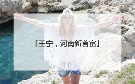 王宁，河南新首富