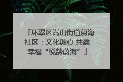 环翠区嵩山街道蔚海社区：文化融心 共建幸福“悦龄蔚海”