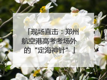 现场直击：郑州航空港高考考场外的“定海神针”