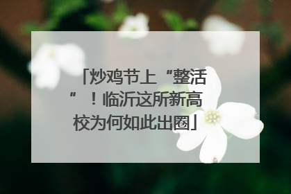 炒鸡节上“整活”！临沂这所新高校为何如此出圈