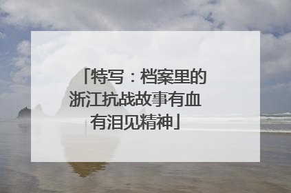 特写：档案里的浙江抗战故事有血有泪见精神