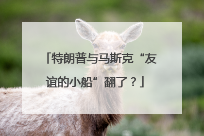 特朗普与马斯克“友谊的小船”翻了？