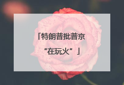 特朗普批普京“在玩火”
