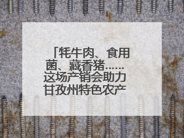 牦牛肉、食用菌、藏香猪……这场产销会助力甘孜州特色农产品走进成都