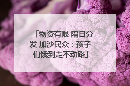 物资有限 隔日分发 加沙民众：孩子们饿到走不动路