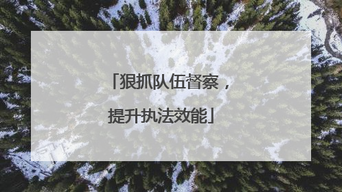 狠抓队伍督察，提升执法效能