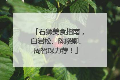石狮美食指南，白岩松、陈晓卿、周智琛力荐！