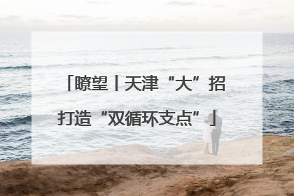 瞭望丨天津“大”招打造“双循环支点”