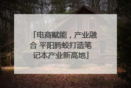 电商赋能，产业融合 平阳腾蛟打造笔记本产业新高地