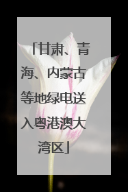 甘肃、青海、内蒙古等地绿电送入粤港澳大湾区