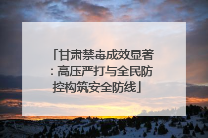 甘肃禁毒成效显著：高压严打与全民防控构筑安全防线