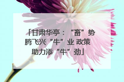 甘肃华亭：“畜”势腾飞兴“牛”业 政策助力添“牛”劲