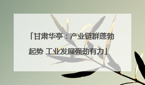 甘肃华亭：产业链群蓬勃起势 工业发展强劲有力