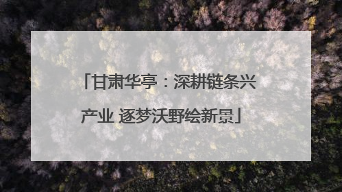 甘肃华亭：深耕链条兴产业 逐梦沃野绘新景