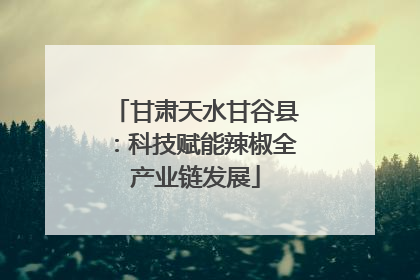甘肃天水甘谷县：科技赋能辣椒全产业链发展