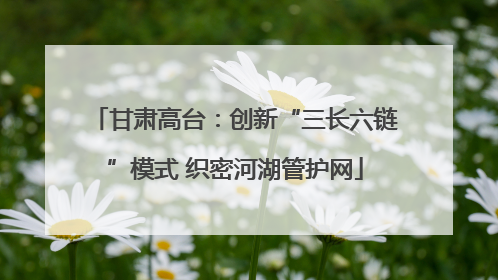 甘肃高台：创新“三长六链”模式 织密河湖管护网