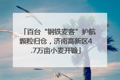 百台“钢铁麦客”护航颗粒归仓，济南高新区4.7万亩小麦开镰