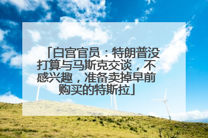 白宫官员：特朗普没打算与马斯克交谈，不感兴趣，准备卖掉早前购买的特斯拉
