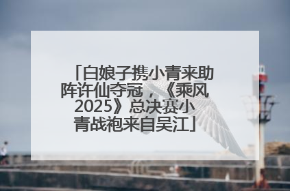 白娘子携小青来助阵许仙夺冠，《乘风2025》总决赛小青战袍来自吴江