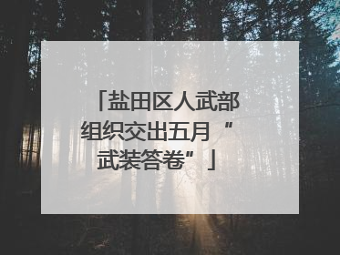 盐田区人武部组织交出五月“武装答卷”