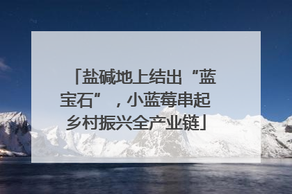 盐碱地上结出“蓝宝石”，小蓝莓串起乡村振兴全产业链