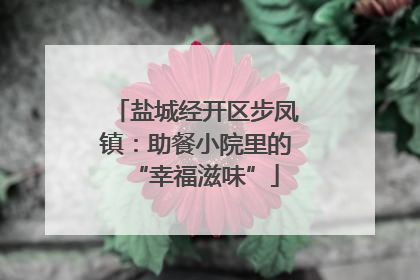 盐城经开区步凤镇：助餐小院里的“幸福滋味”