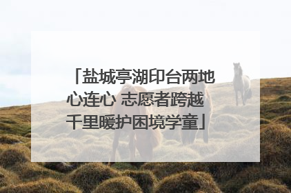 盐城亭湖印台两地心连心 志愿者跨越千里暖护困境学童