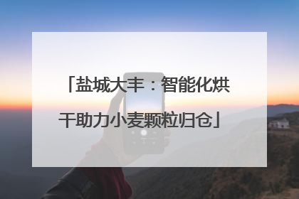 盐城大丰：智能化烘干助力小麦颗粒归仓
