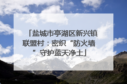 盐城市亭湖区新兴镇联盟村：密织“防火墙”守护蓝天净土