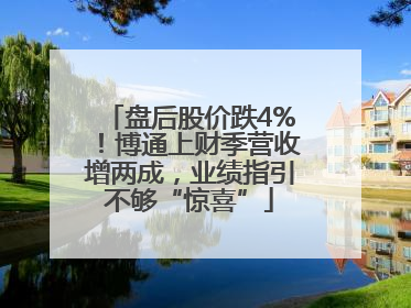 盘后股价跌4%！博通上财季营收增两成，业绩指引不够“惊喜”