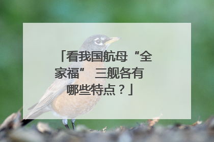 看我国航母“全家福” 三舰各有哪些特点？