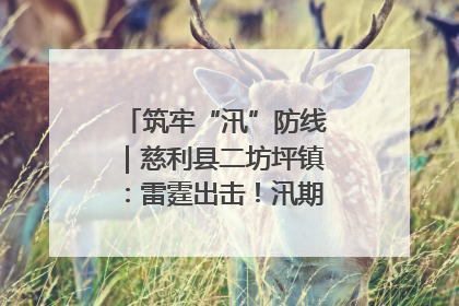 筑牢“汛”防线｜慈利县二坊坪镇：雷霆出击！汛期捕鱼被紧急叫停