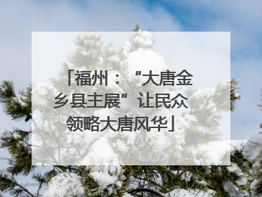 福州：“大唐金乡县主展”让民众领略大唐风华