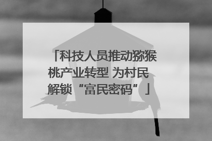科技人员推动猕猴桃产业转型 为村民解锁“富民密码”