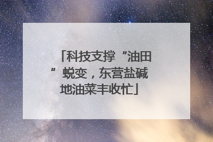 科技支撑“油田”蜕变,东营盐碱地油菜丰收忙