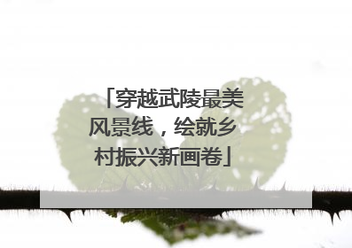 穿越武陵最美风景线，绘就乡村振兴新画卷