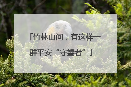竹林山间，有这样一群平安“守望者”