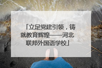 立足党建引领，铸就教育辉煌——河北联邦外国语学校