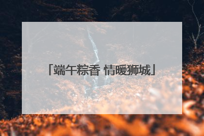 端午粽香 情暖狮城