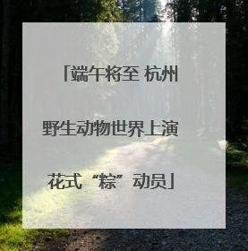 端午将至 杭州野生动物世界上演花式“粽”动员