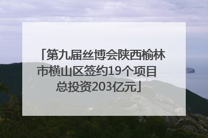 第九届丝博会陕西榆林市横山区签约19个项目 总投资203亿元