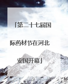 第二十七届国际药材节在河北安国开幕