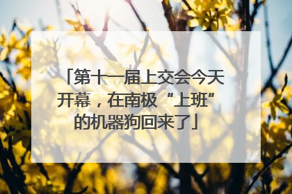 第十一届上交会今天开幕，在南极“上班”的机器狗回来了