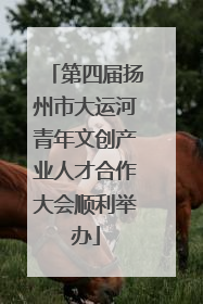 第四届扬州市大运河青年文创产业人才合作大会顺利举办