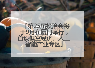 第25届投洽会将于9月在厦门举行，首设低空经济、人工智能产业专区
